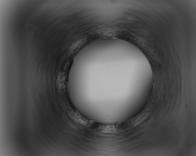 X0000052580384200507152325