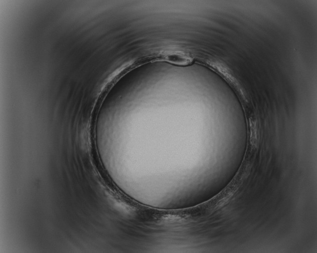 X0000052580390200507152324