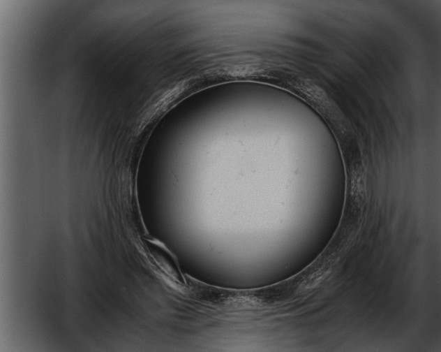 X0000052580397200507152324