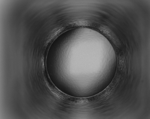 X0000052580398200507152324