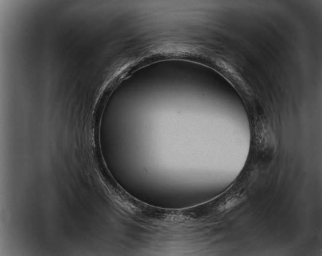 X0000052580399200507152324