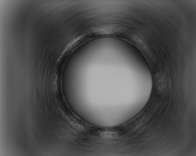 X0000052580400200507152324