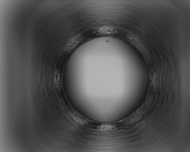 X0000052580418200507152323