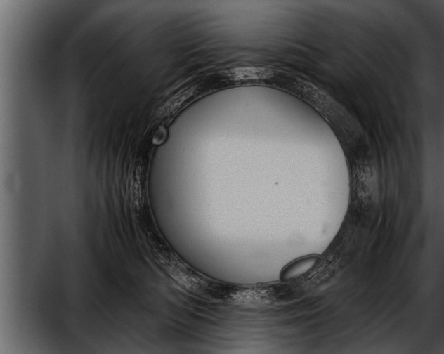X0000052580422200507152323
