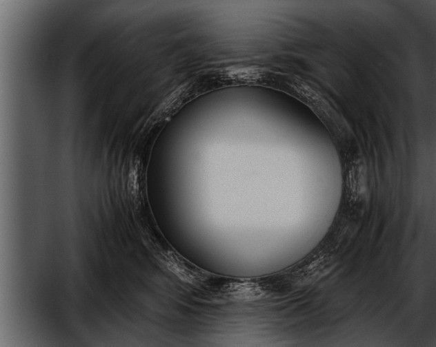 X0000052580424200507152323