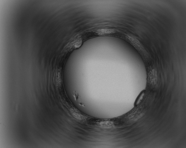 X0000052580426200507152323