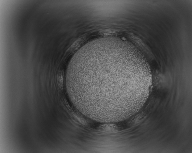 X0000052580427200507152323