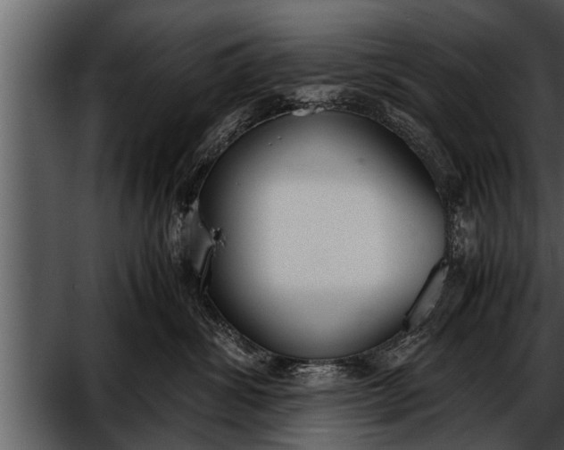 X0000052580428200507152323