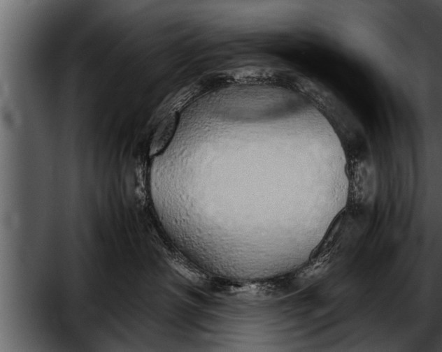 X0000052580430200507152323