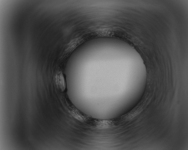 X0000052580432200507152323