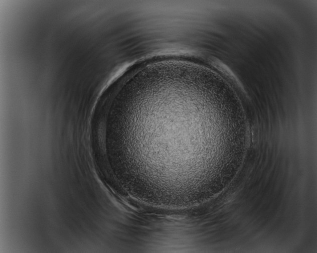 X0000052580436200507152322