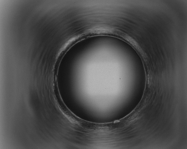 X0000052580438200507152322