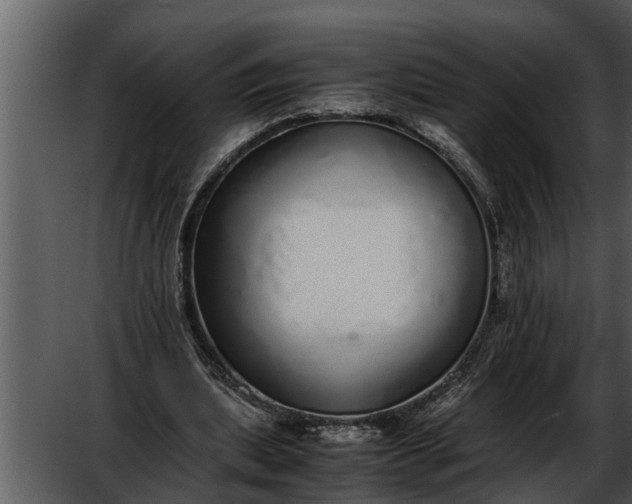X0000052580439200507152322