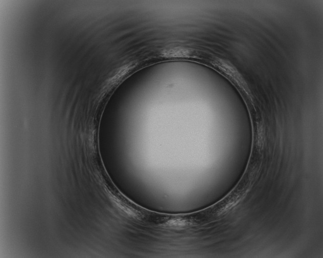 X0000052580441200507152322