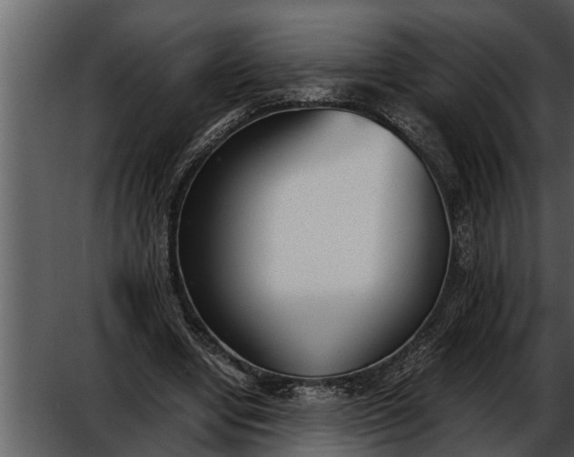 X0000052580442200507152322