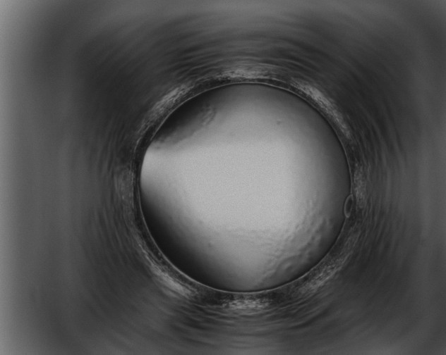 X0000052580445200507152323