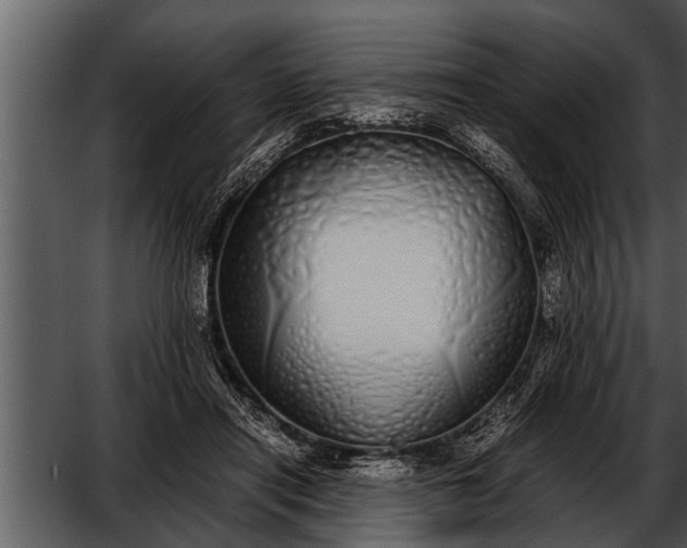 X0000052580454200507152323