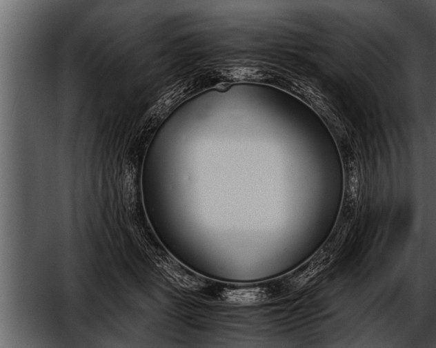 X0000052580461200507152323