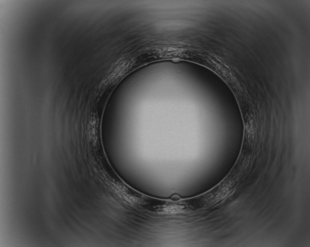 X0000052580462200507152323
