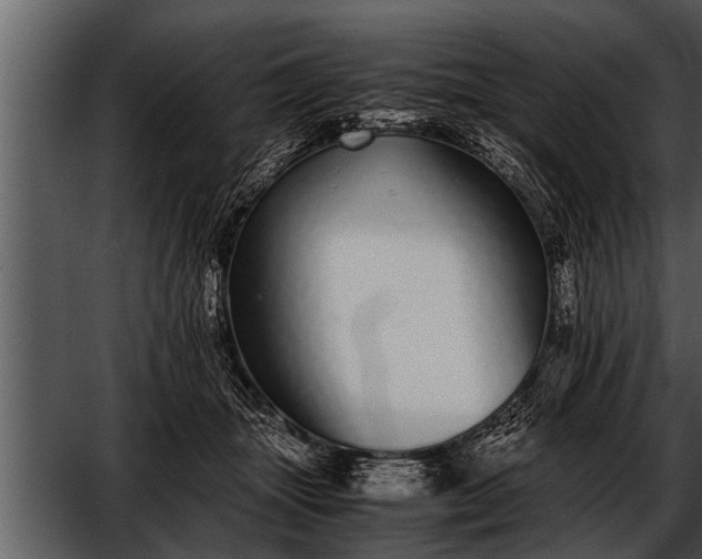 X0000052580463200507152323