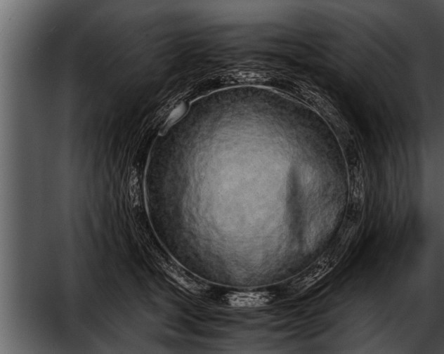 X0000052580465200507152323