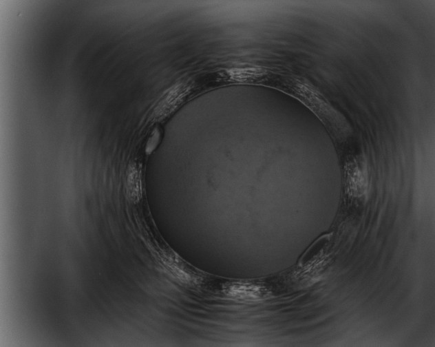 X0000052580471200507152323