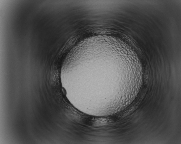 X0000052580473200507152323