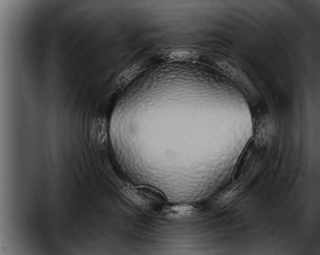 X0000052580478200507152323