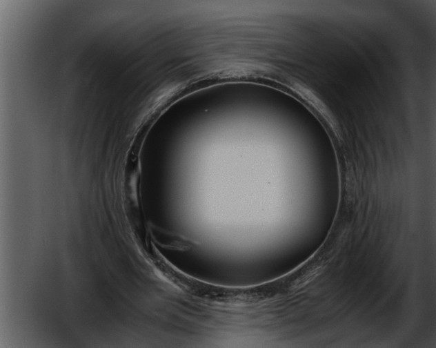 X0000052580485200507152322