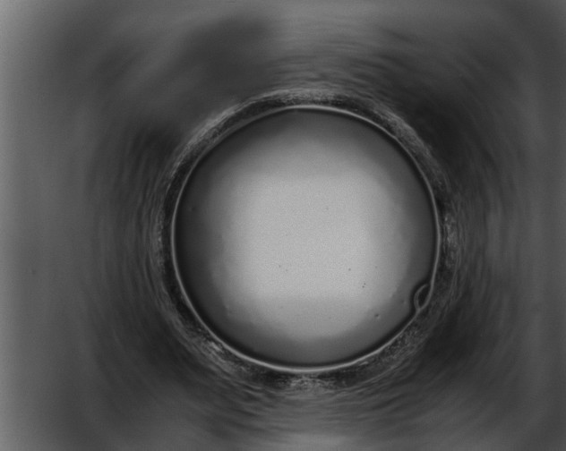 X0000052580487200507152322