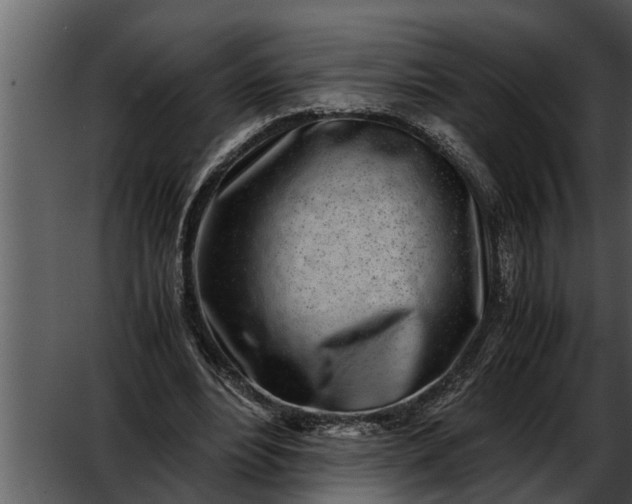 X0000052580488200507152322