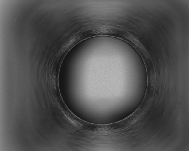 X0000052580489200507152322