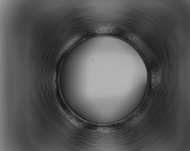 X0000052580490200507152322