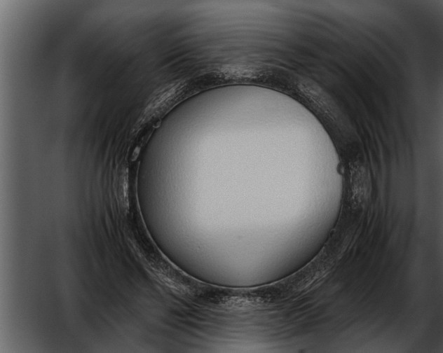 X0000052580494200507152322