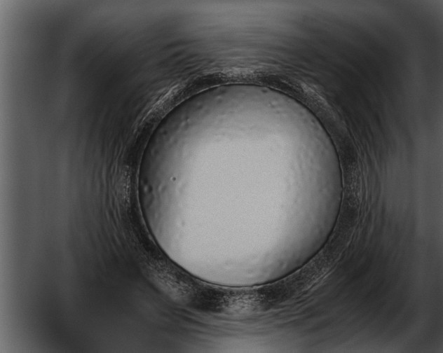 X0000052580495200507152322