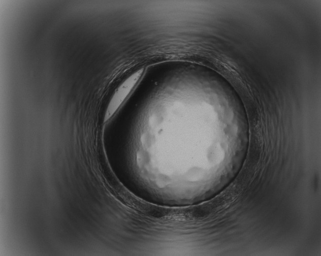 X0000052580499200507152322
