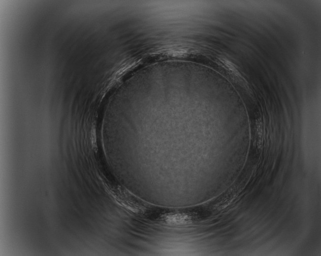 X0000052580500200507152322
