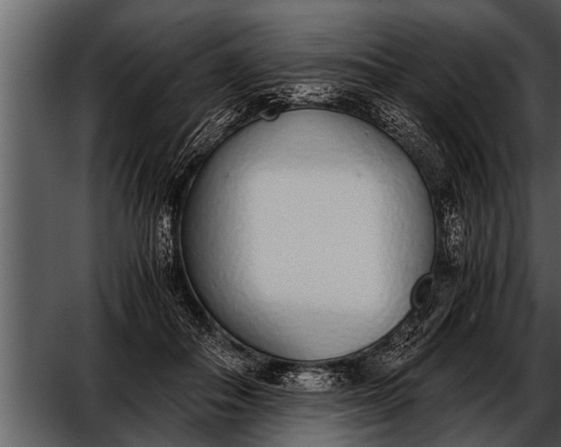 X0000052580506200507152322