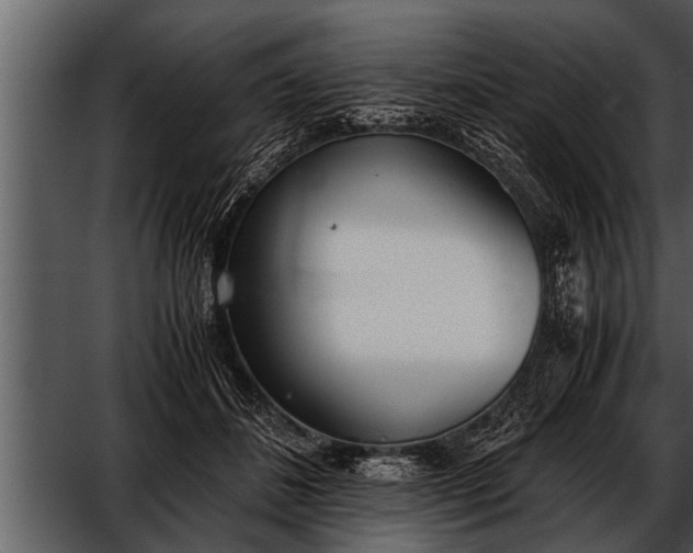 X0000052580508200507152322
