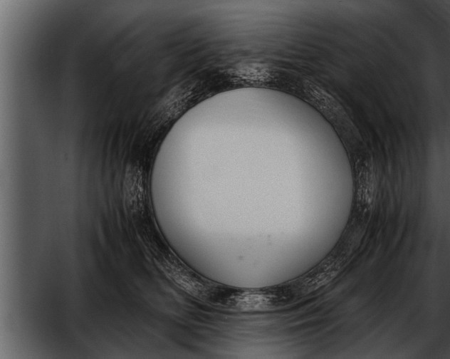X0000052580518200507152322