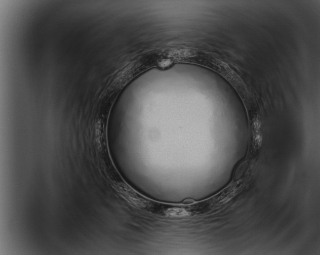X0000052580519200507152322
