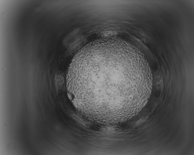 X0000052580523200507152322
