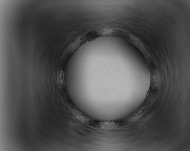 X0000052580525200507152322