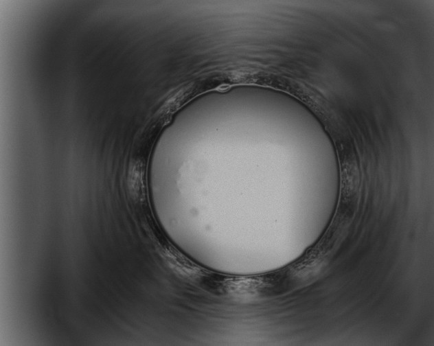 X0000052580527200507152322