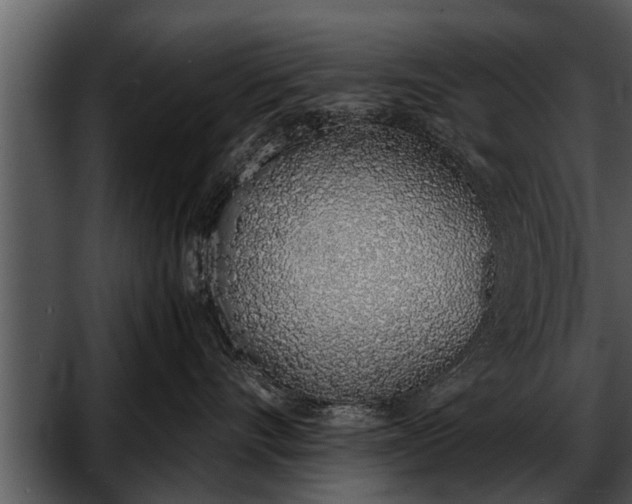 X0000052580528200507152322