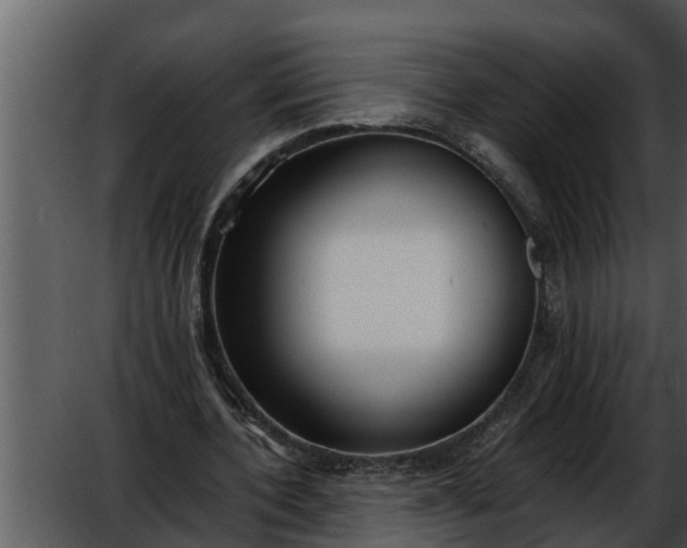 X0000052580532200507152321