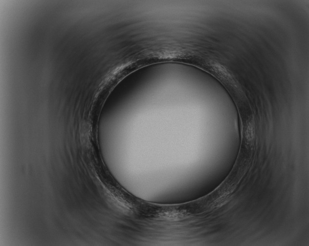 X0000052580540200507152321