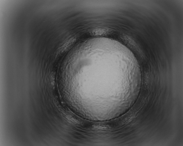 X0000052580545200507152321