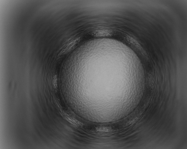X0000052580549200507152321