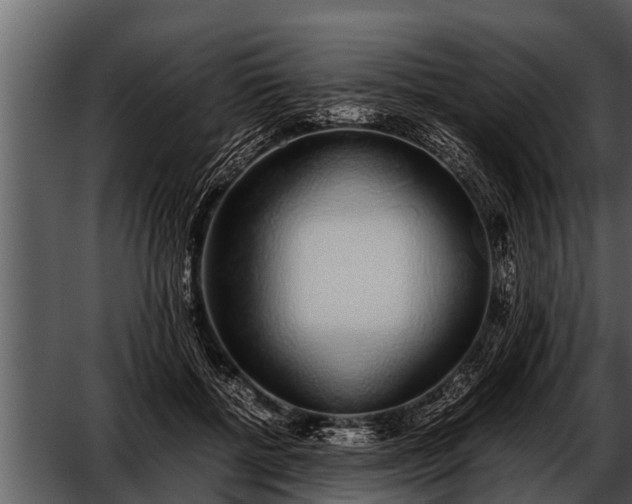 X0000052580552200507152321